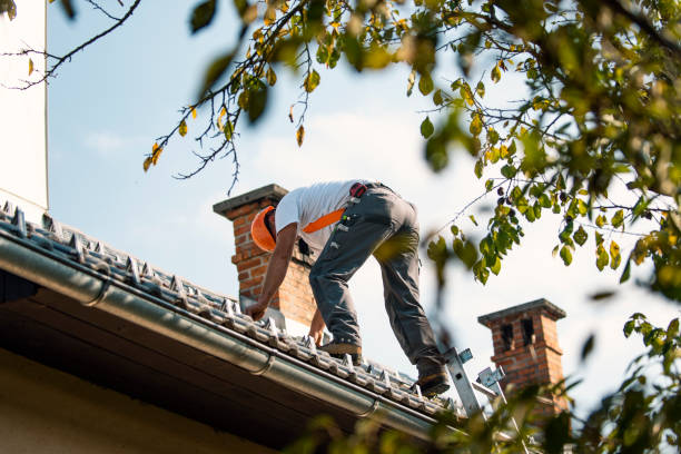 Best Roof Leak Repair  in Le Claire, IA