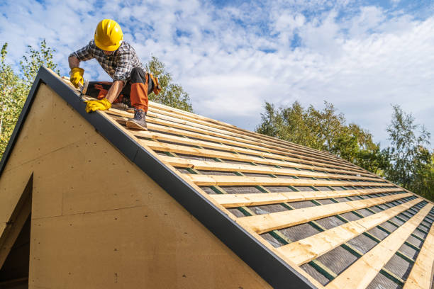 Best Gutter Installation and Roofing  in Le Claire, IA