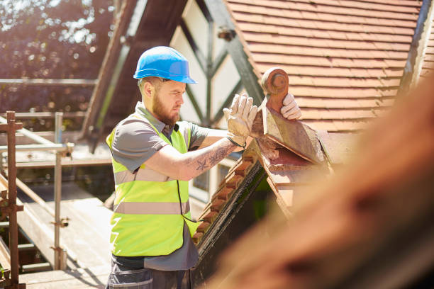 Best Tile Roofing Contractor  in Le Claire, IA